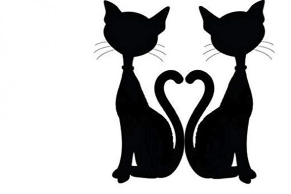 Kitty4u2's corner weddings