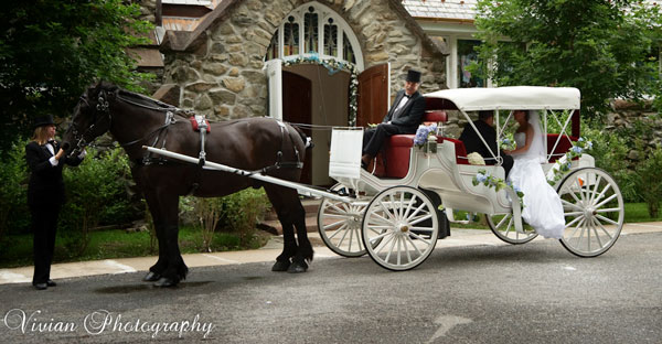 Castle Carriage