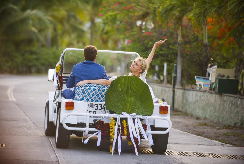 Alice in Weddingland