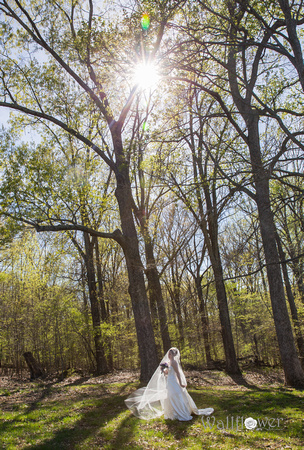 Wallflower Destination Photography