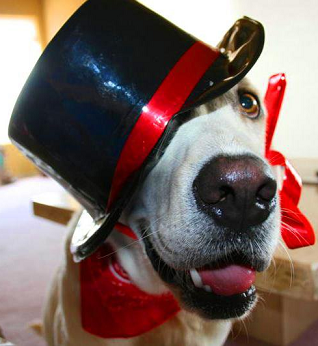 PHXDJ Phoenix Disc Jockey