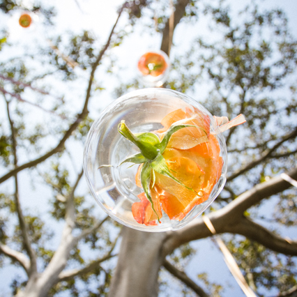 Lace and Champagne Events