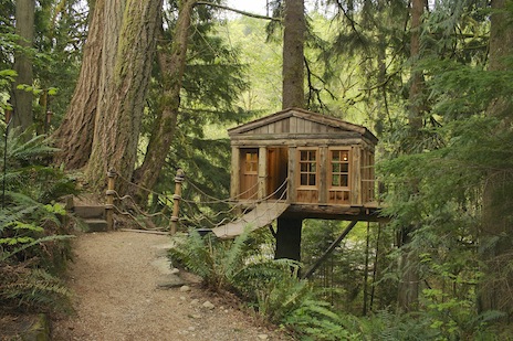 TreeHouse Point