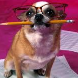 Funny Biz Speech Writers