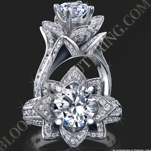 Blooming Rings Inc