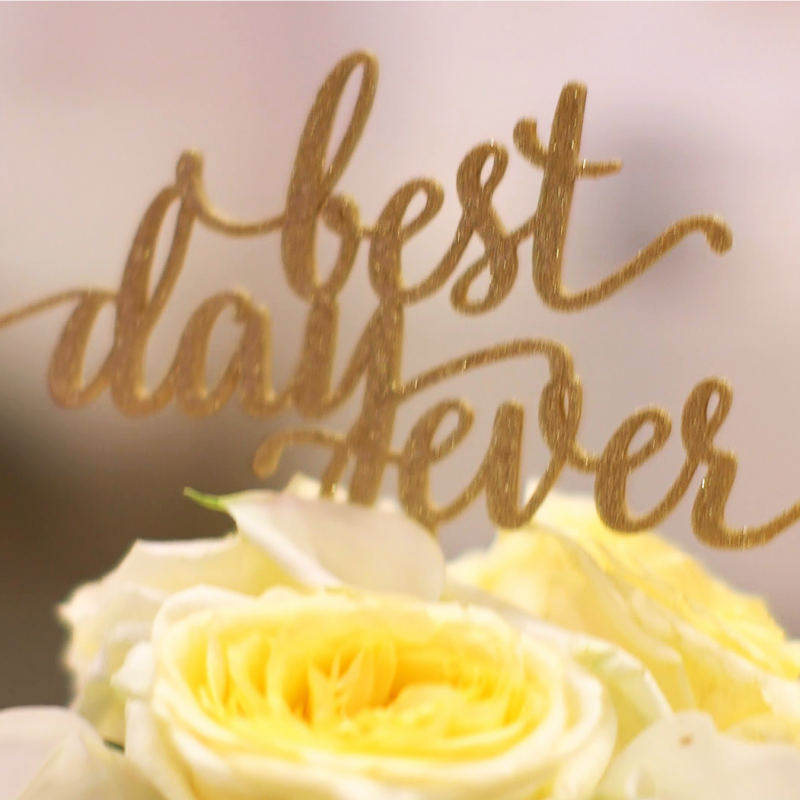 Dream Images real life motion pictures