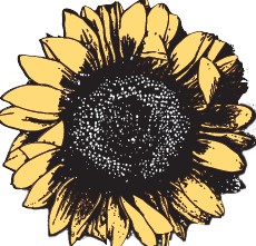 Harrington Smith Floral