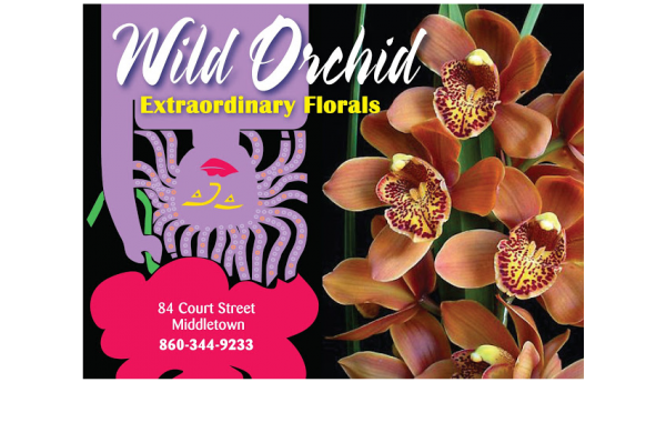 WILD ORCHID