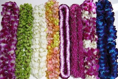 Best Flower Leis