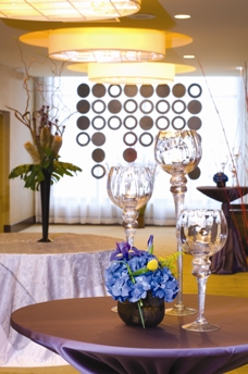 Crowne Plaza Chicago Metro