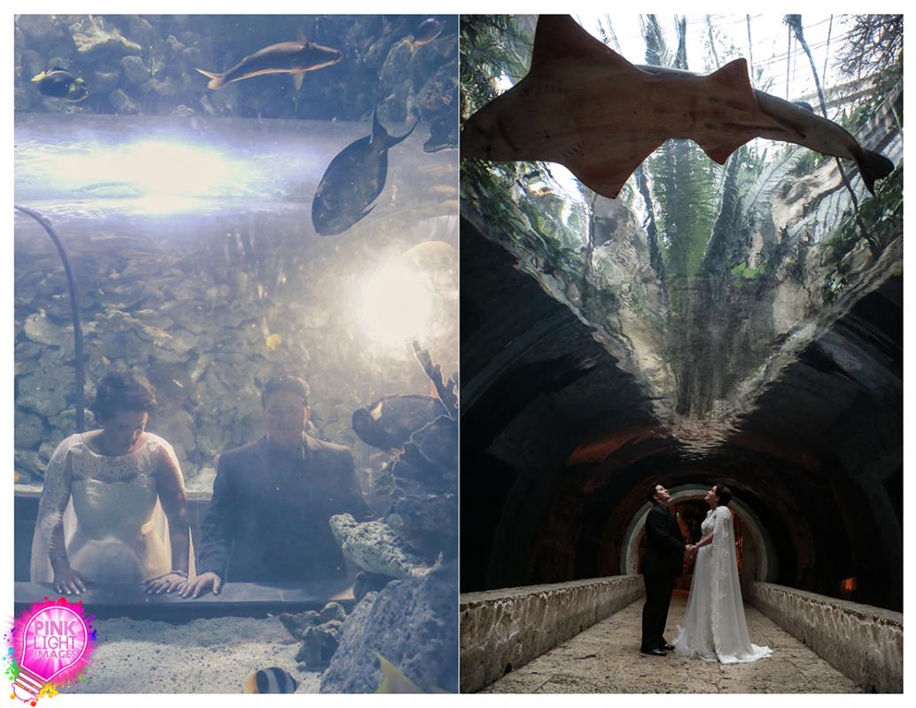 at the Dallas Aquarium