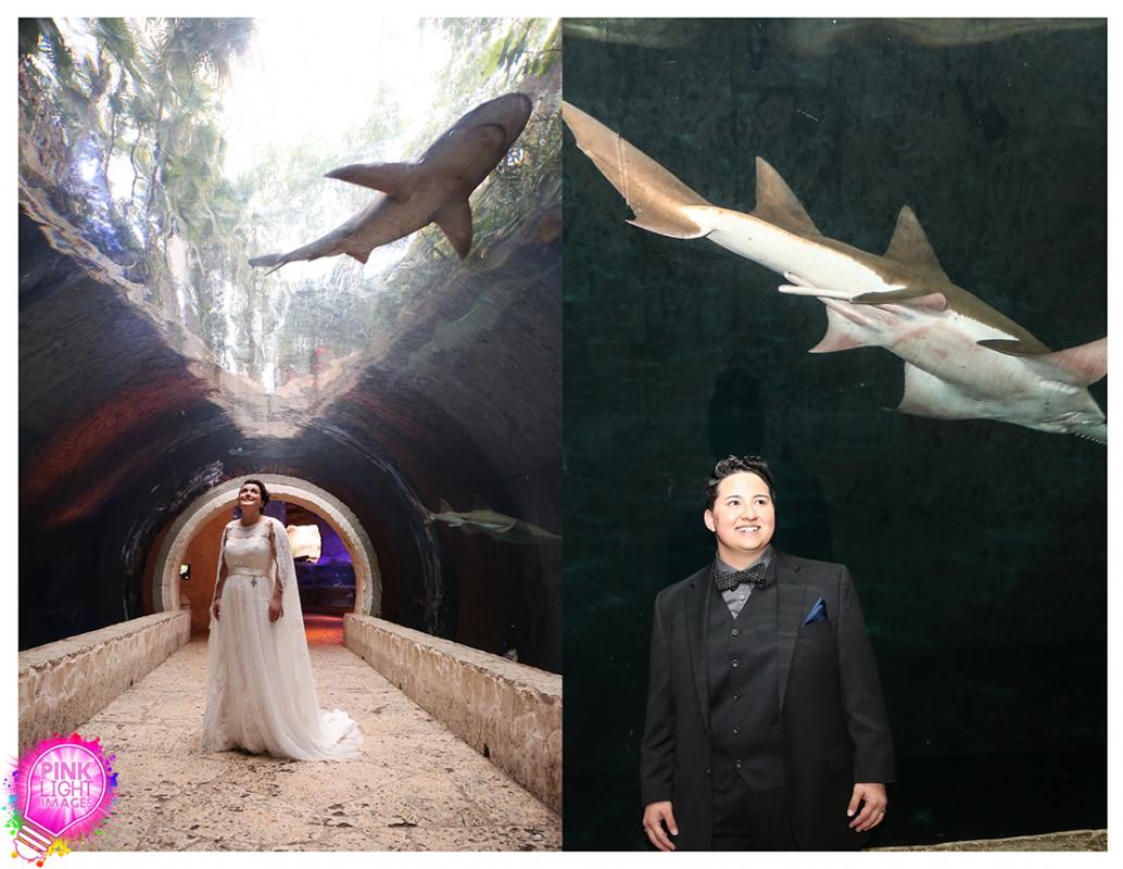 Kat & April's amazing wedding day