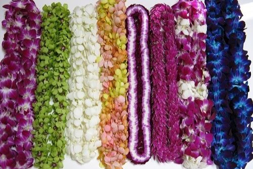 Best Flower Leis