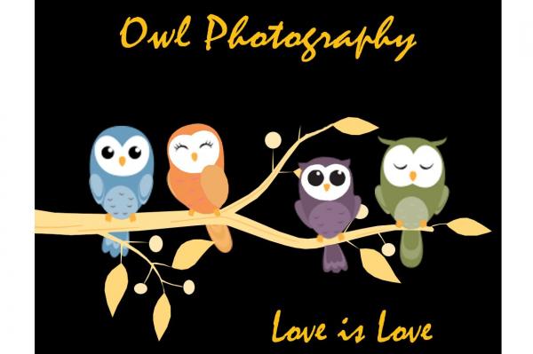 Owl Photography