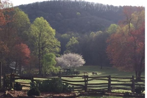 Neverland Farms