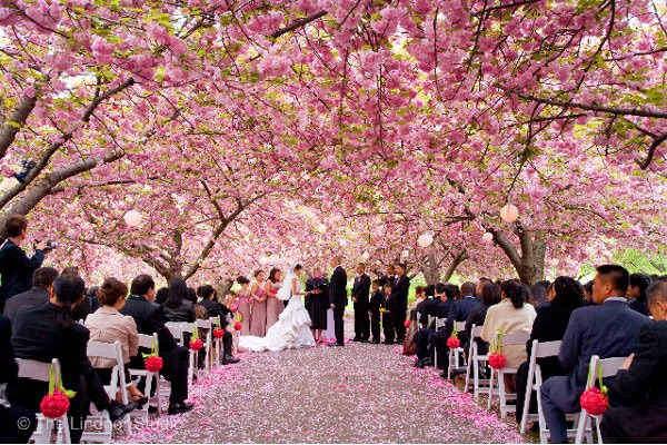 Correlation Productions