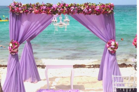 PARADISE BEACH COMPANY