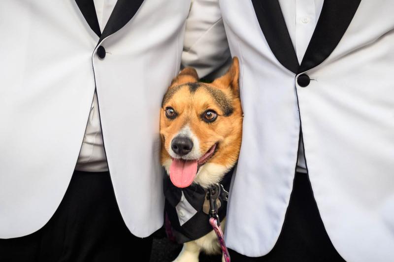 Nick & Kelly Photography