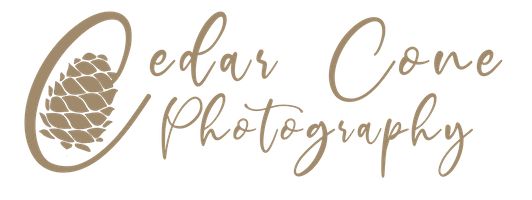 Cedar Cone Photography