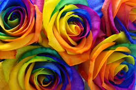 The Rose Connection